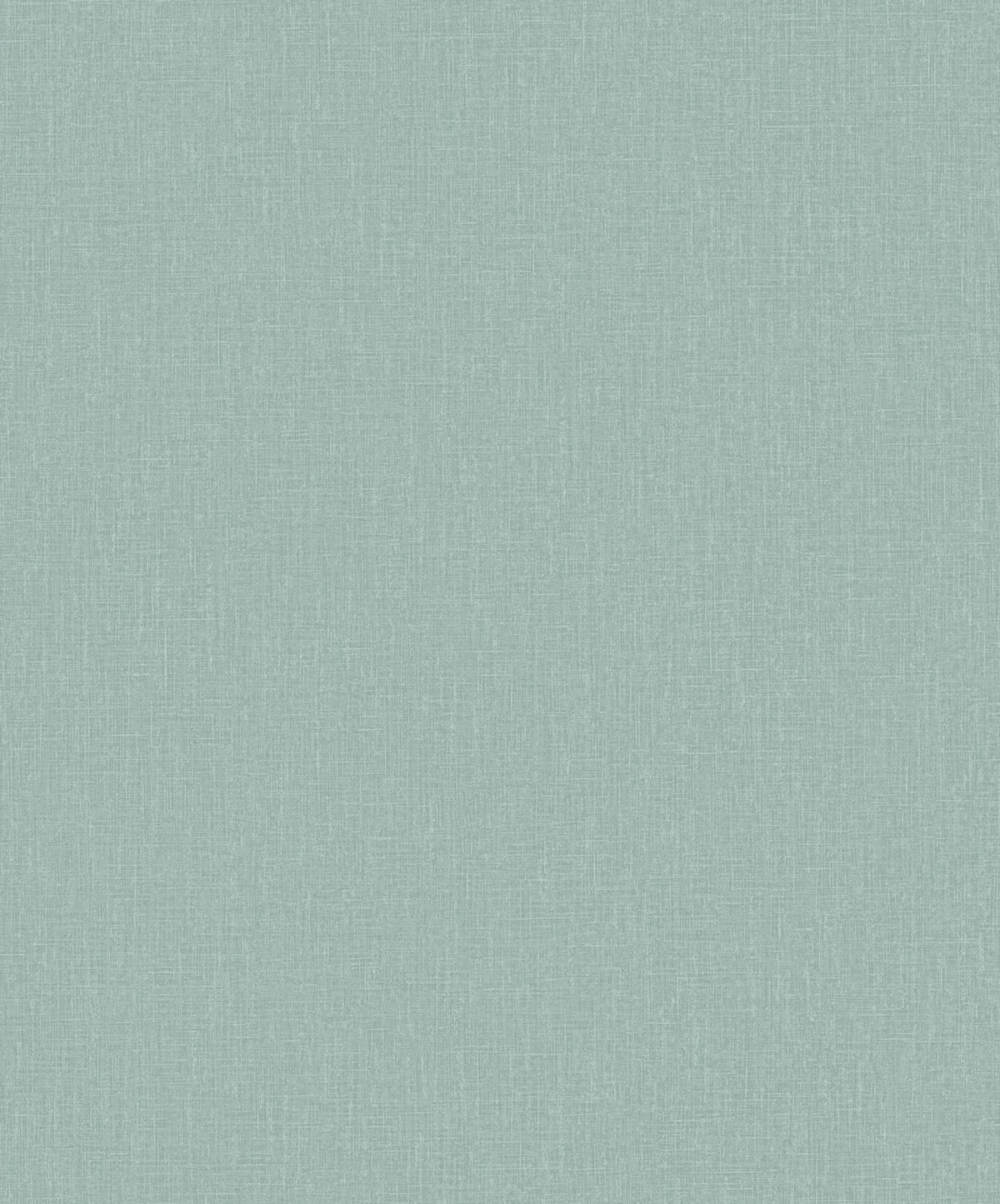 Staal Hookedonwalls Passe Partout 2026 Colour Vibes Plain 29938