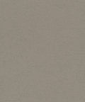 Staal Hookedonwalls Passe Partout 2026 Colour Vibes Travertino 29840