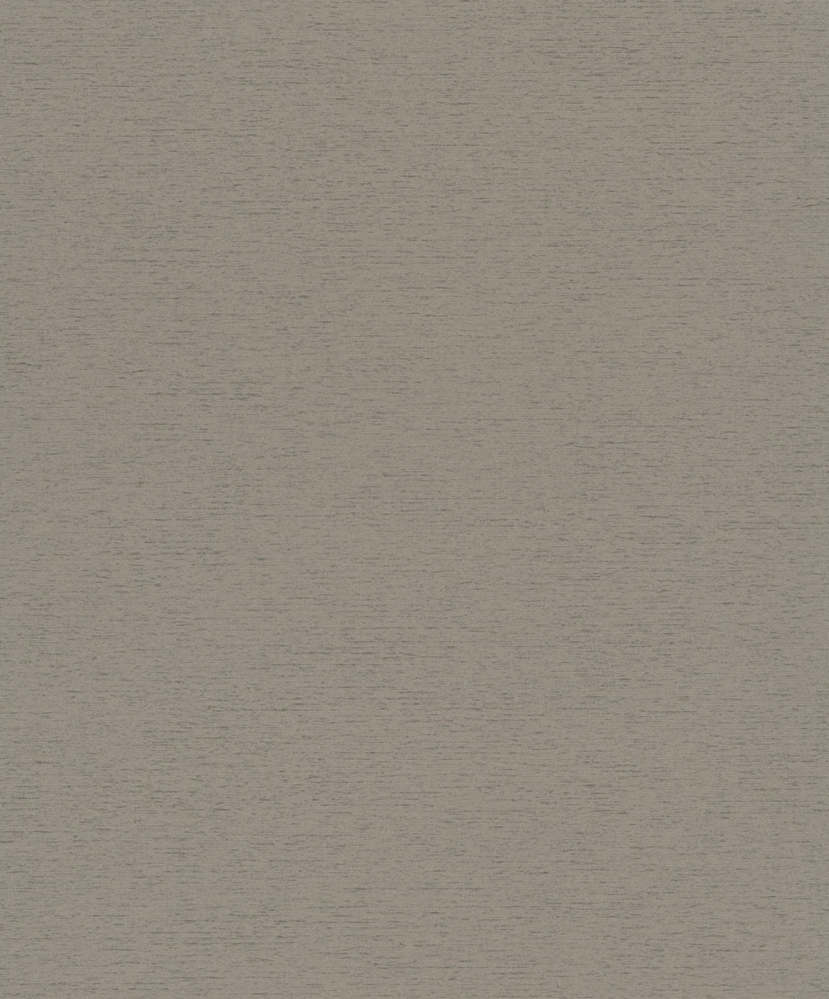 Staal Hookedonwalls Passe Partout 2026 Colour Vibes Travertino 29840