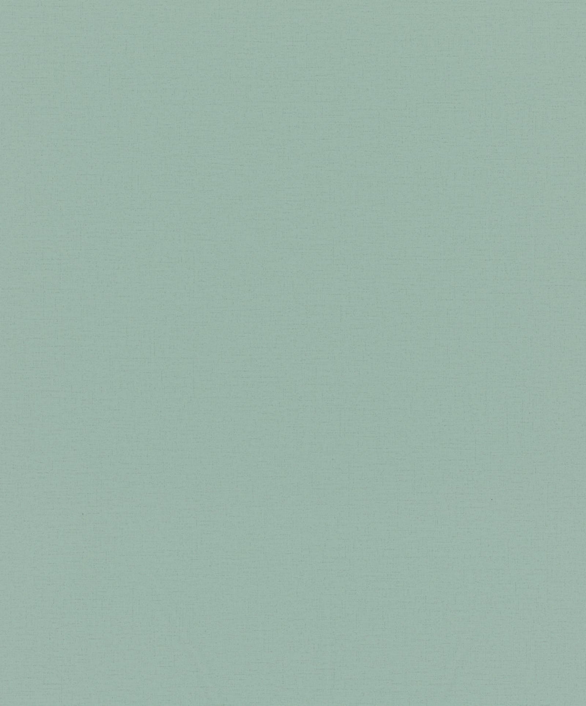 Staal Hookedonwalls Passe Partout 2026 Colour Vibes Uni 29946