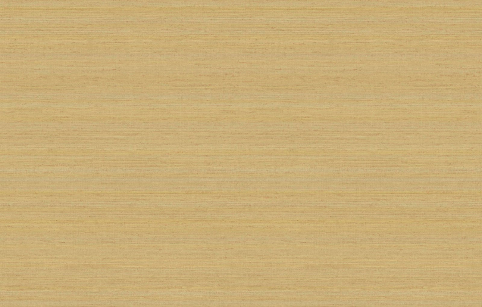 Staal Hookedonwalls Passe Partout 2026 Colour Vibes Uni Soie Tropical 29903