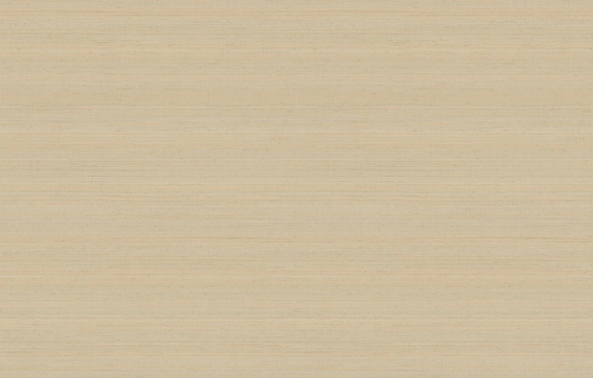 Staal Hookedonwalls Passe Partout 2026 Colour Vibes Uni Soie Tropical 29906
