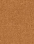 Staal Hookedonwalls Passe Partout 2026 Colour Vibes Unito 29873