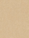 Staal Hookedonwalls Passe Partout 2026 Colour Vibes Unito 29894