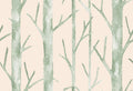 Staal Hookedonwalls Scalamandré Everett JV26048