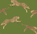 Staal Hookedonwalls Scalamandré Leaping Cheetah JV26024