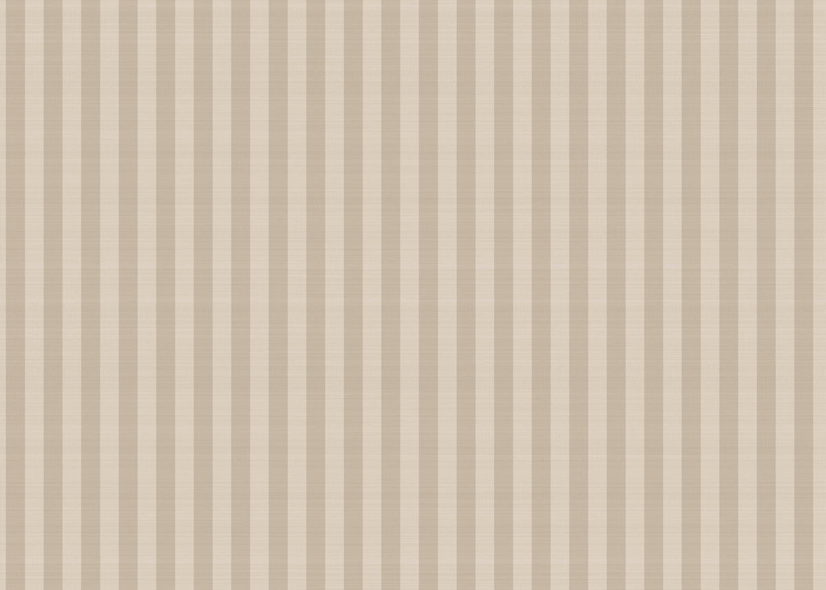 Hookedonwalls Stripes & Stripes Paski 90775