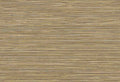 Hookedonwalls Tahiti TA25042