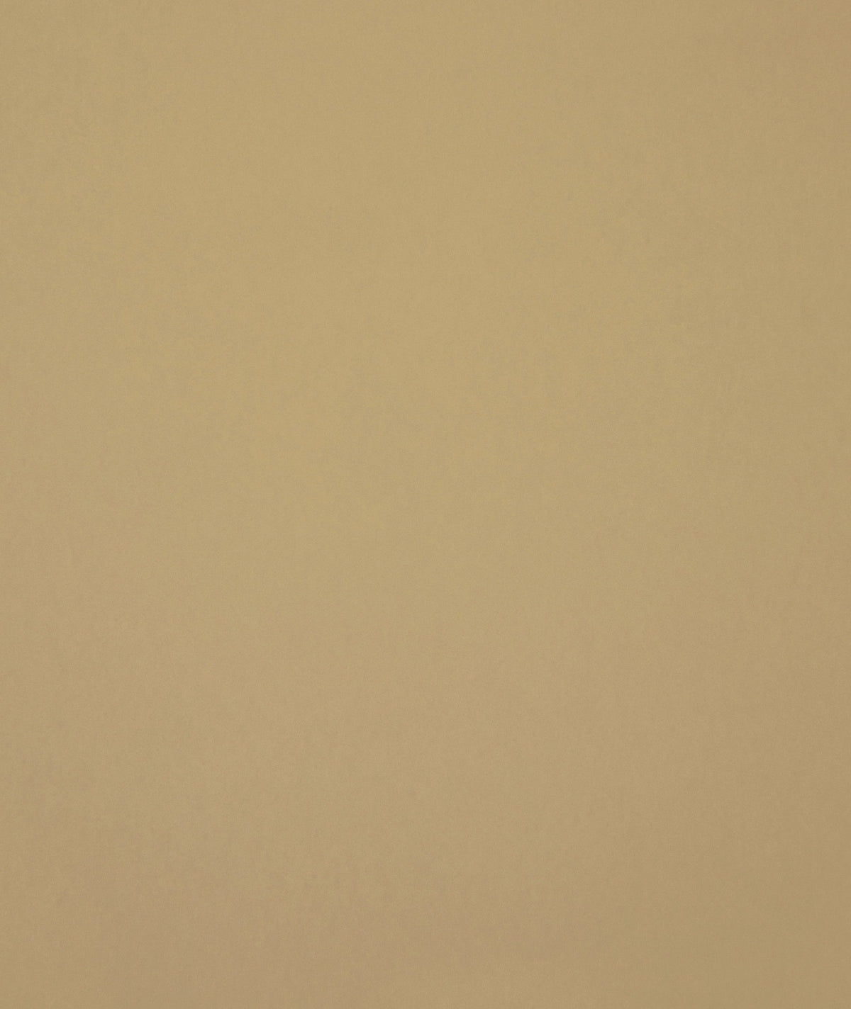 Staal Hookedonwalls Young Traditionals Muro 27850