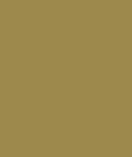 Staal Hookedonwalls Young Traditionals Muro 27855
