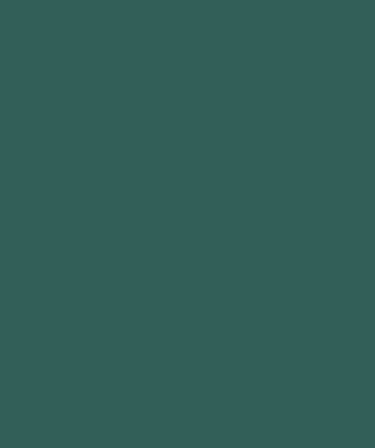 Staal Hookedonwalls Young Traditionals Muro 27857