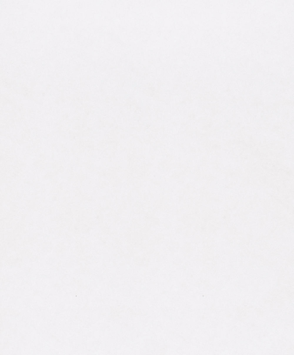 Masureel Wall Designs UNI010 Alta Moonlight