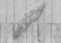 Komar Home Concrete Feather X7-1023