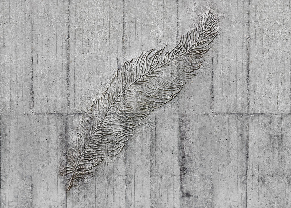Komar Home Concrete Feather X7-1023