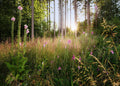 Komar Home Summer Glade X7-1005