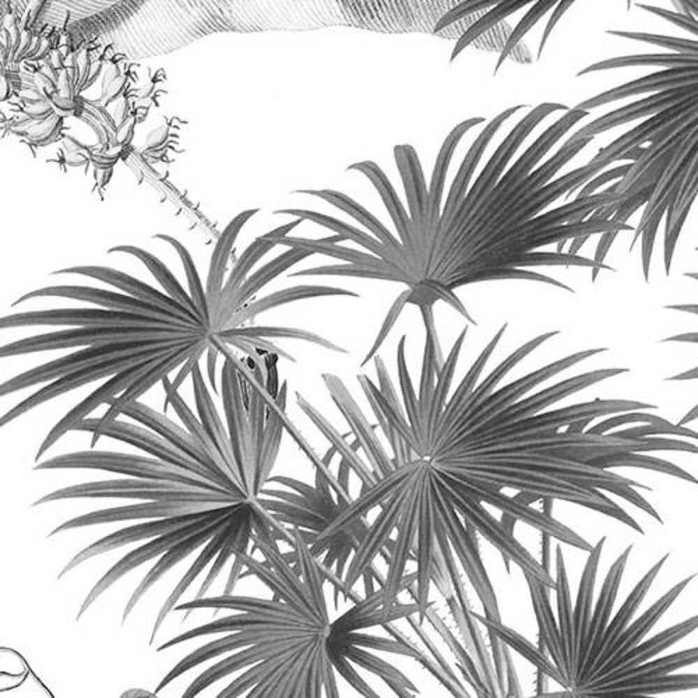 Komar Ink Croissances Monochrome INX8-082