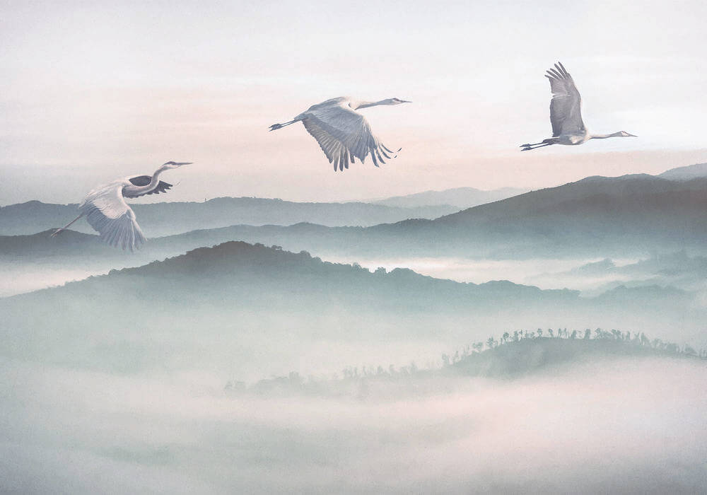 Komar Ink Mystic Cranes INX8-083