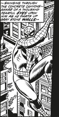 Komar Into Adventure Spiderman Classic Climb IADX2-085
