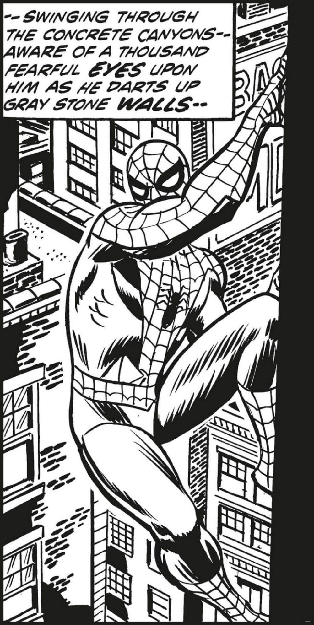 Komar Into Adventure Spiderman Classic Climb IADX2-085