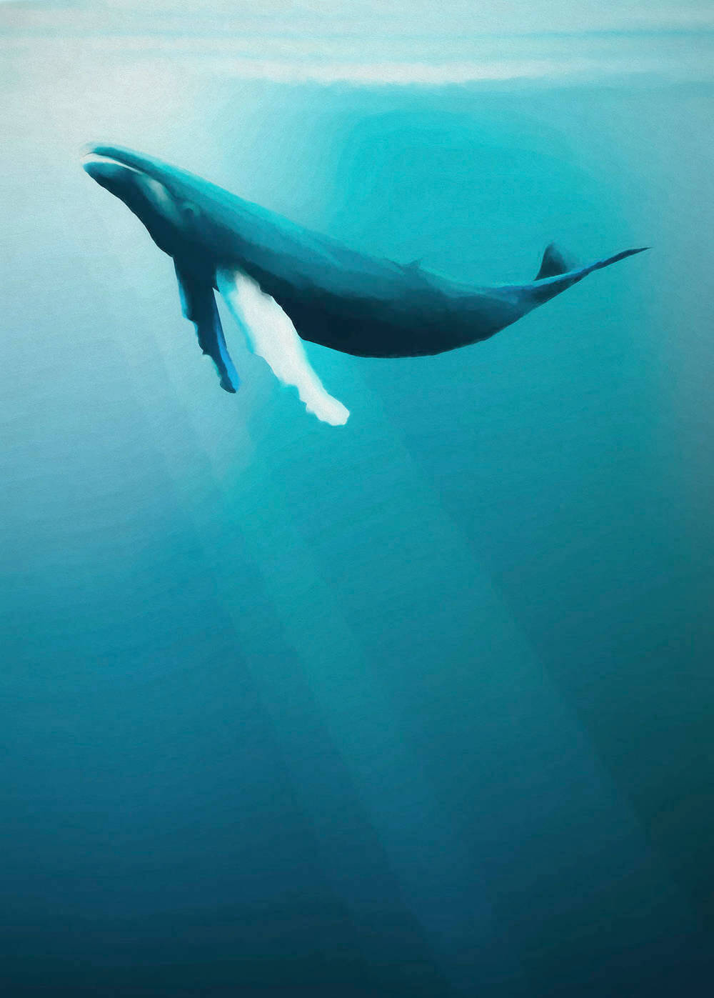 Komar Into Adventure Whale IAX4-0045