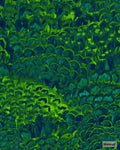 Komar Pure Feathers P019-VD2