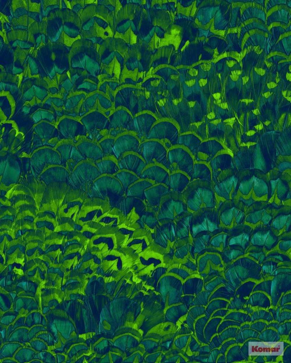 Komar Pure Feathers P019-VD2