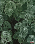 Komar Pure Monstera on Marble P035-VD2