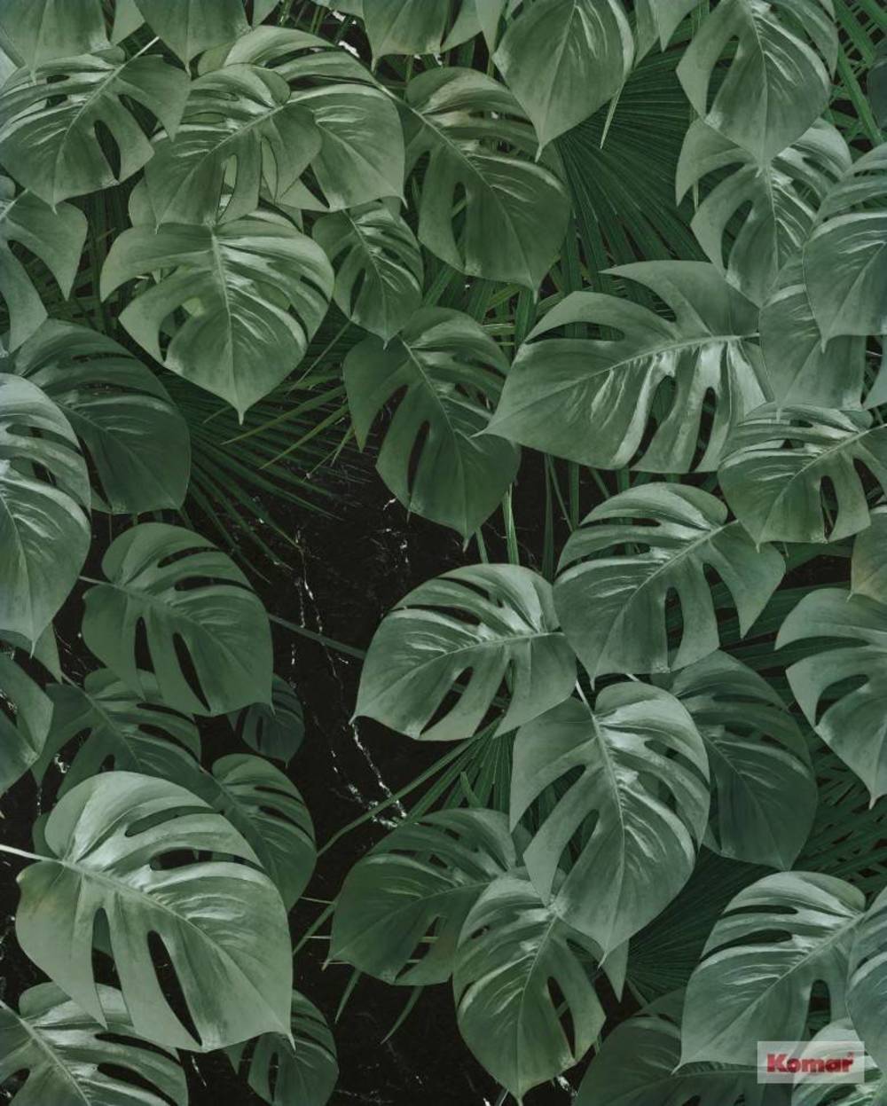 Komar Pure Monstera on Marble P035-VD2