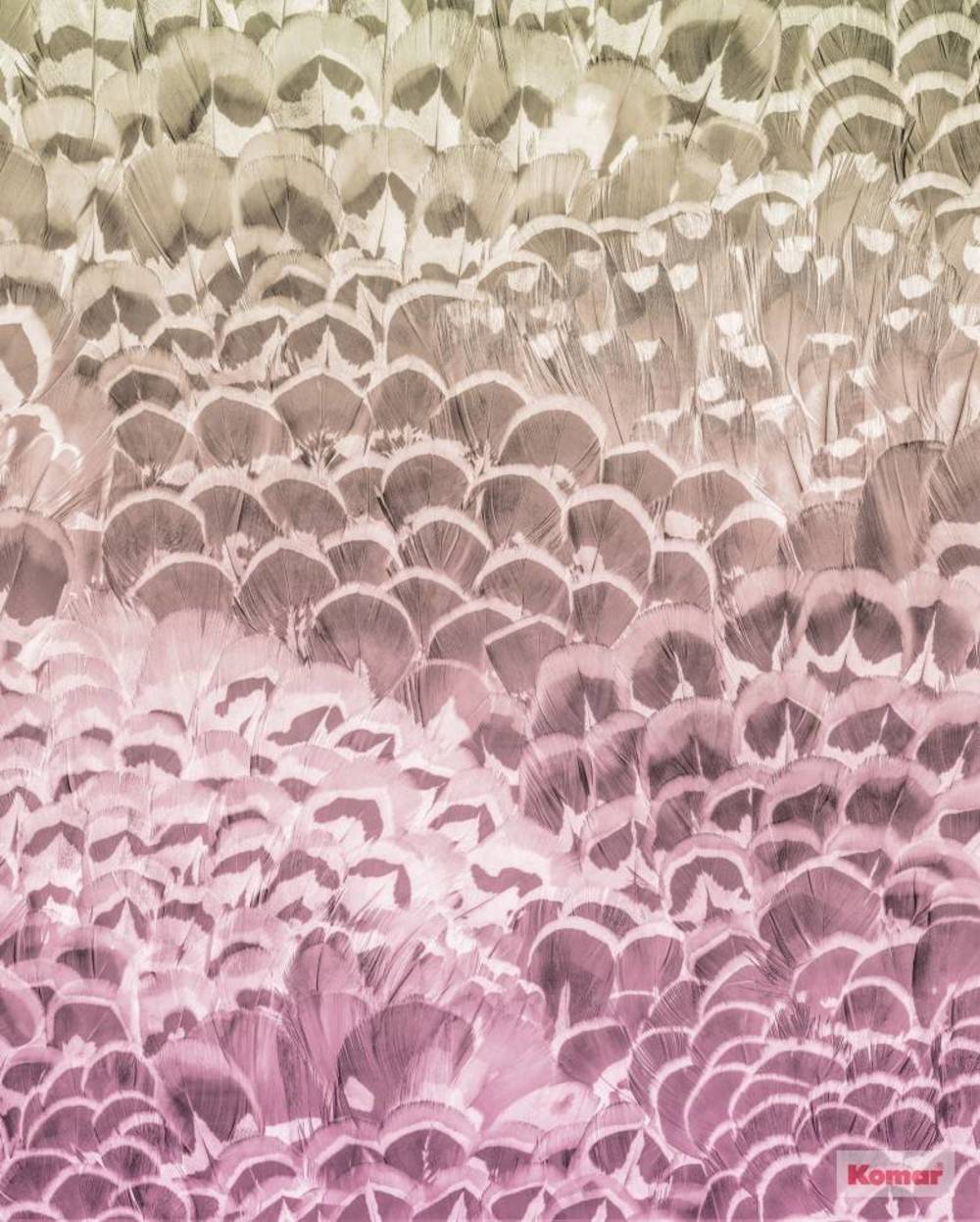 Komar Pure Pale Feathers P028-VD2