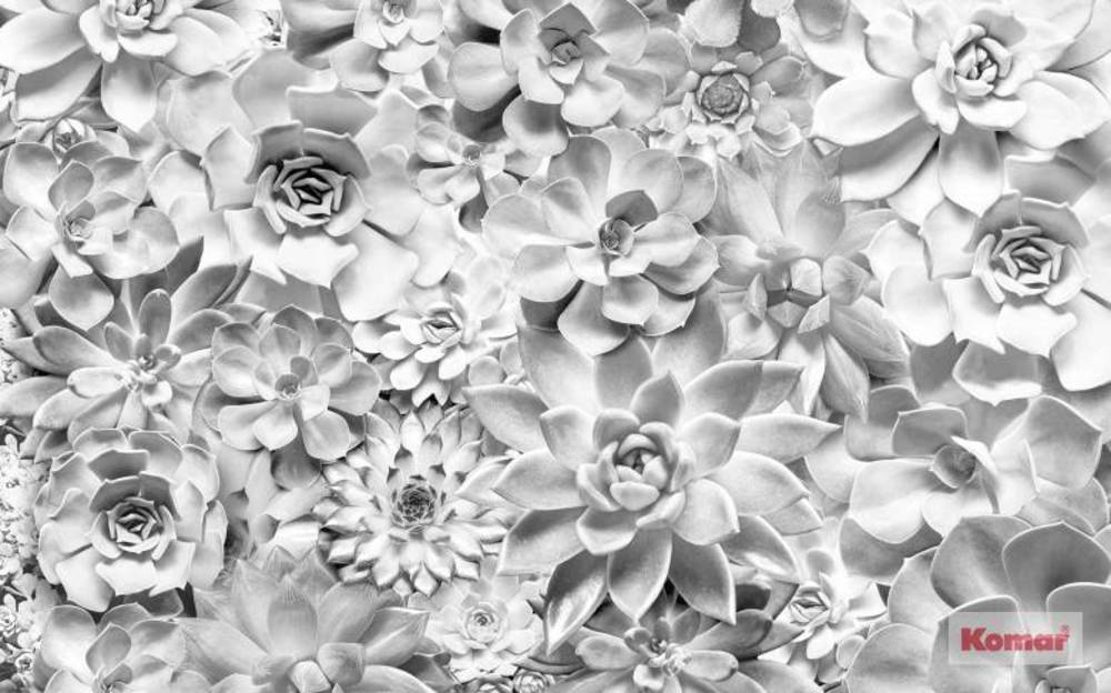 Komar Pure Shades Black and White P962-VD4