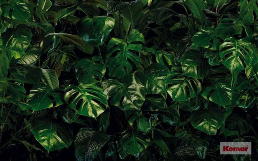 Komar Pure Tropical Wall P333-VD4