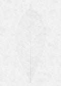 Komar Raw Decent Leaf R2-012