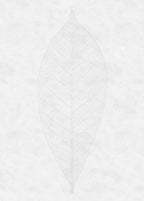 Komar Raw Decent Leaf R2-012