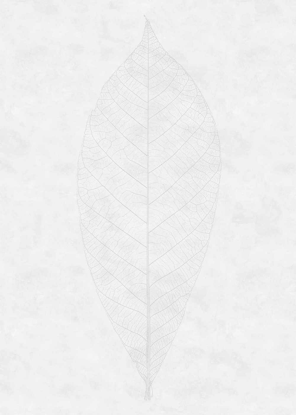 Komar Raw Decent Leaf R2-012