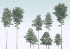 Komar Raw Pines R4-040