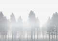 Komar Raw Silver Haze RSX8-055