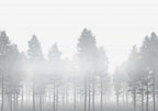 Komar Raw Silver Haze RSX8-055