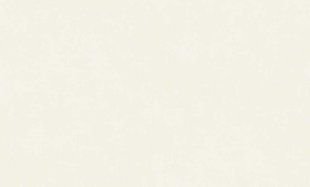 Staal Masureel The Colour Book PRO301 Sunny Snow