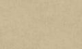 Staal Masureel The Colour Book PRO303 Sunny Coconut