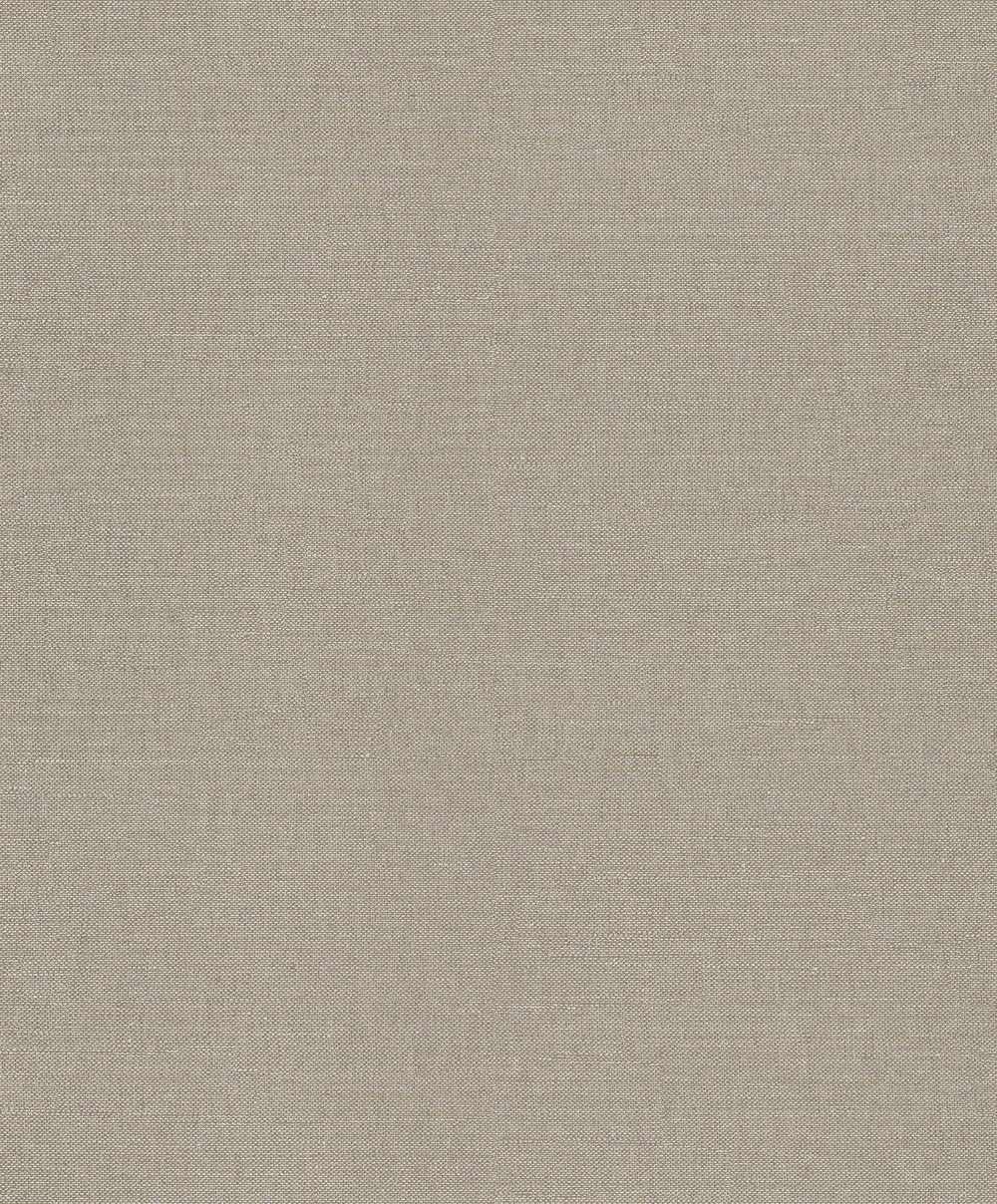 Masureel The Colour Book RTS509 Denia Oyster