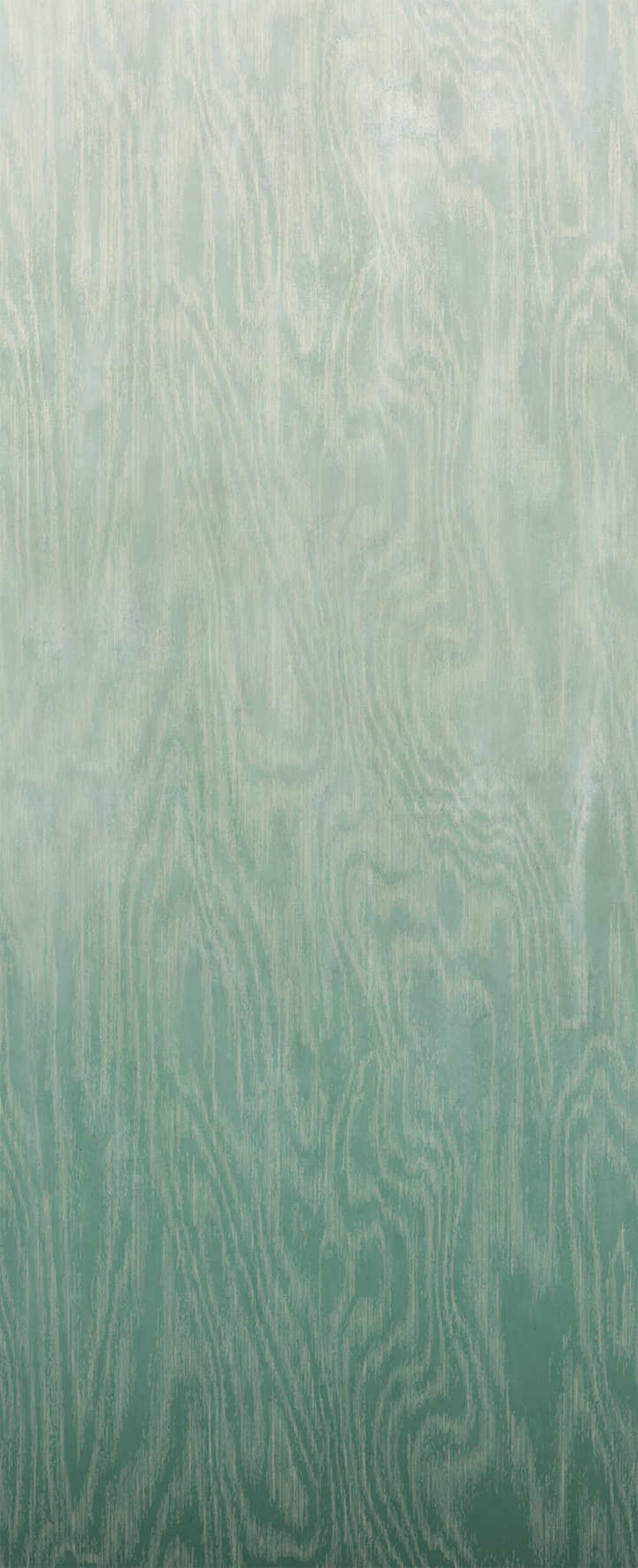 Masureel Wall Designs IV DG4MOI1021-260 Moire Green