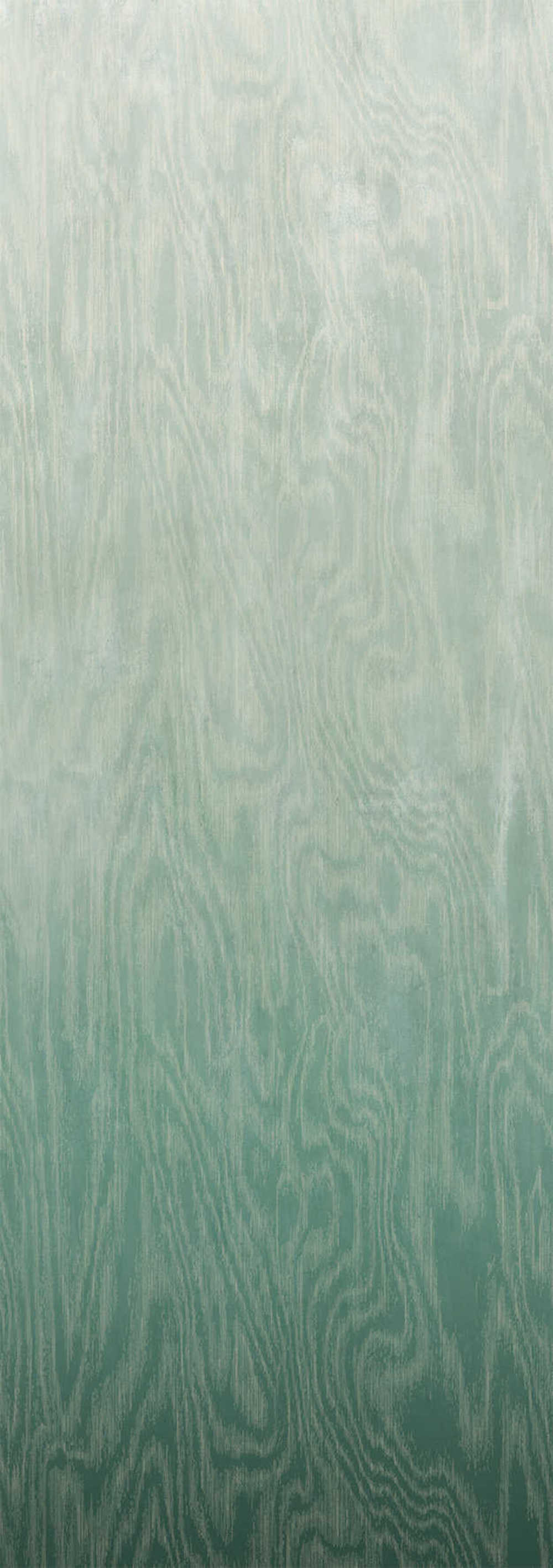Masureel Wall Designs IV DG4MOI1021-300 Moire Green
