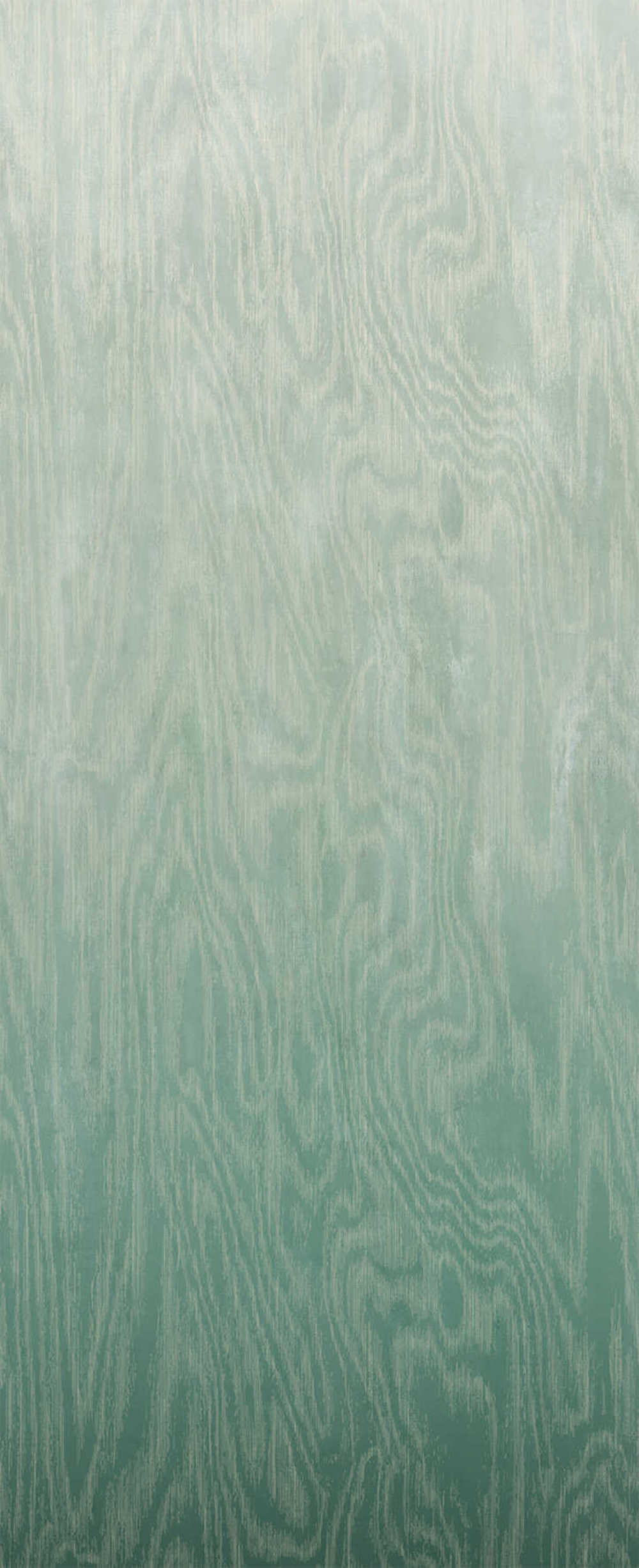 Masureel Wall Designs IV DG4MOI1022-260 Moire Green