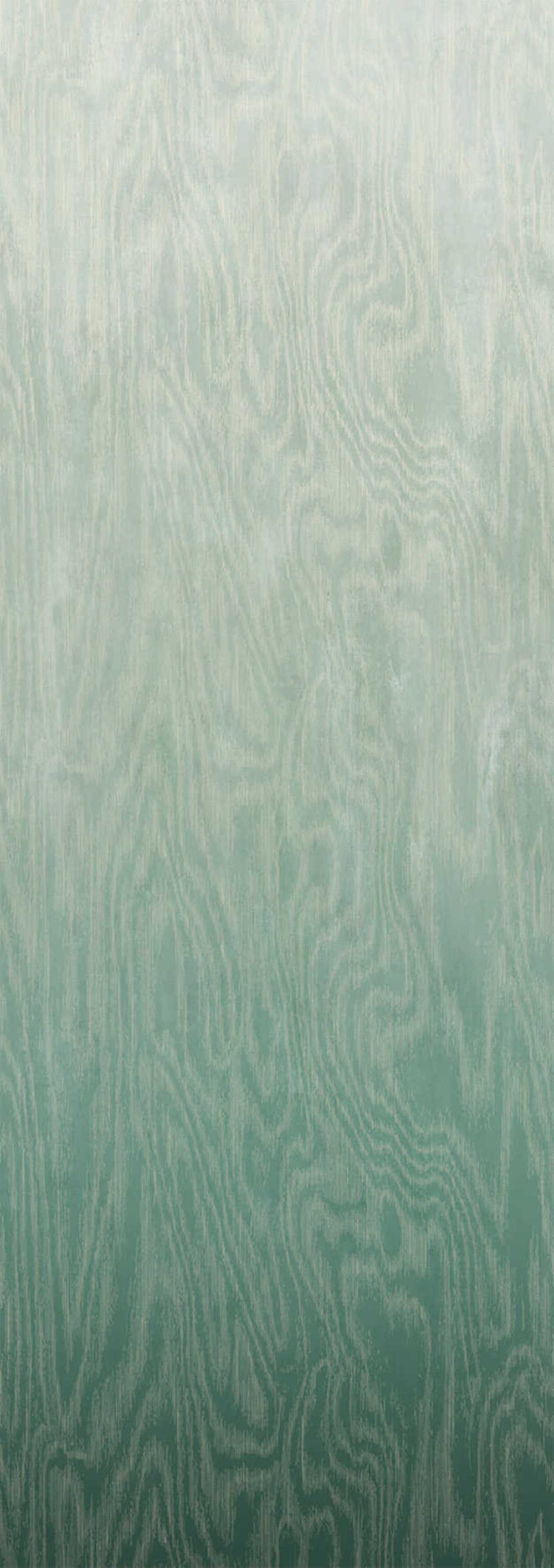 Masureel Wall Designs IV DG4MOI1022-300 Moire Green