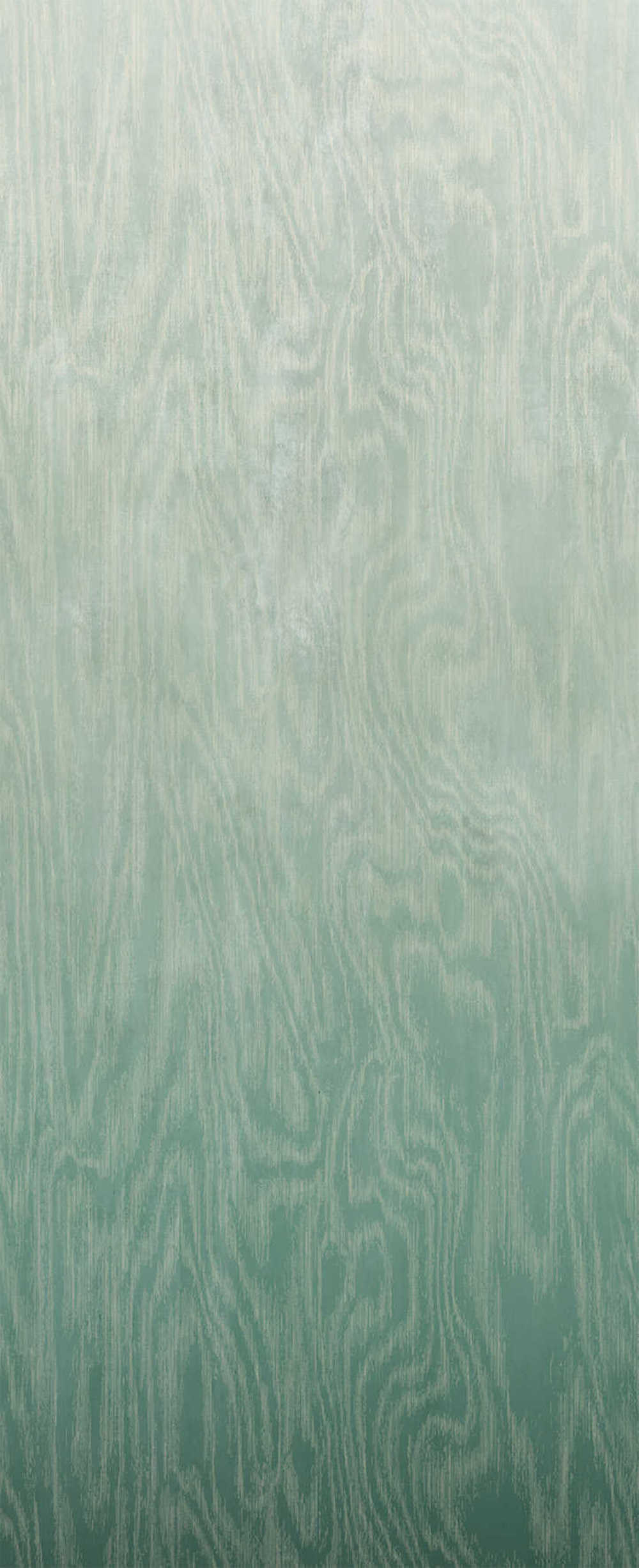 Masureel Wall Designs IV DG4MOI1023-260 Moire Green