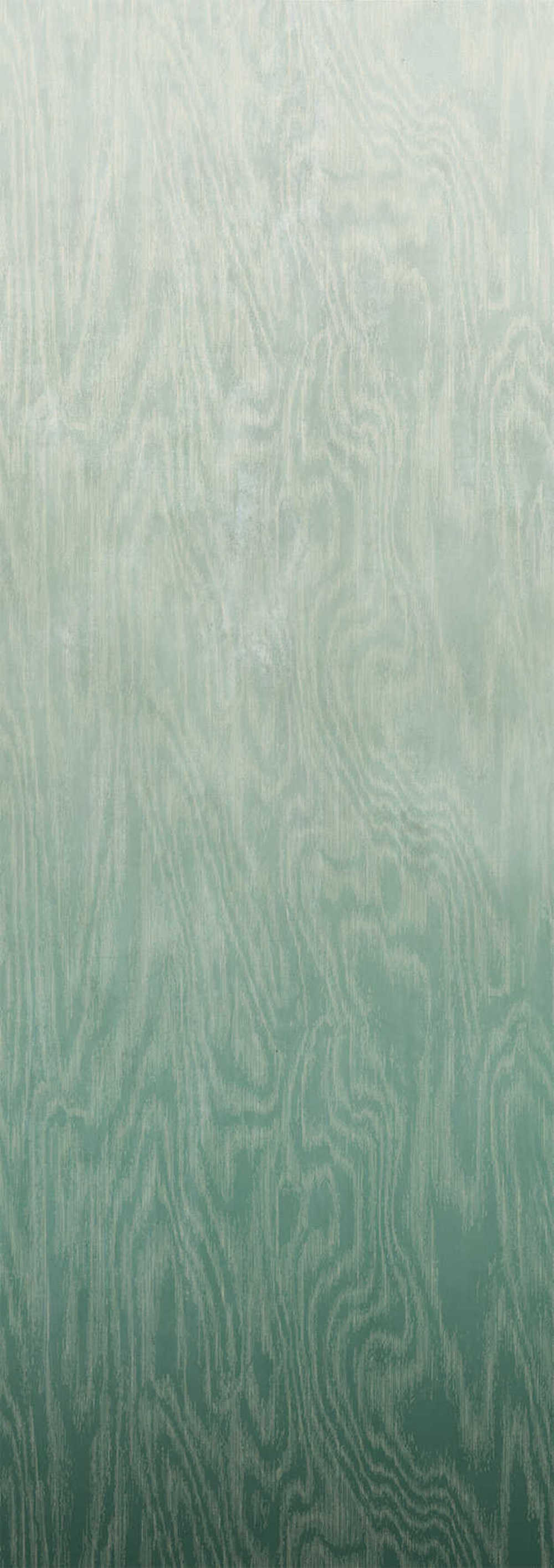 Masureel Wall Designs IV DG4MOI1023-300 Moire Green