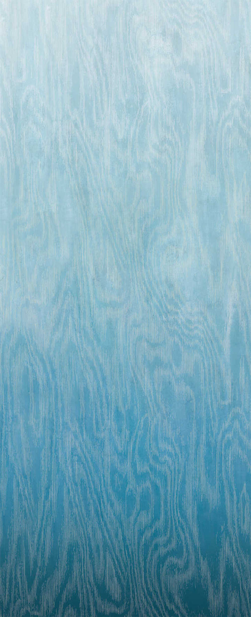Masureel Wall Designs IV DG4MOI1031-260 Moire Blue