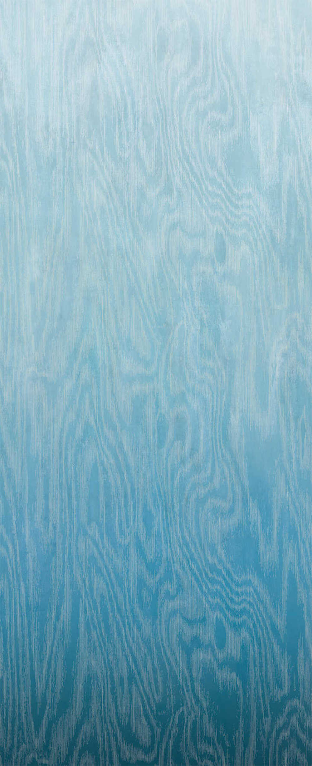 Masureel Wall Designs IV DG4MOI1032-260 Moire Blue