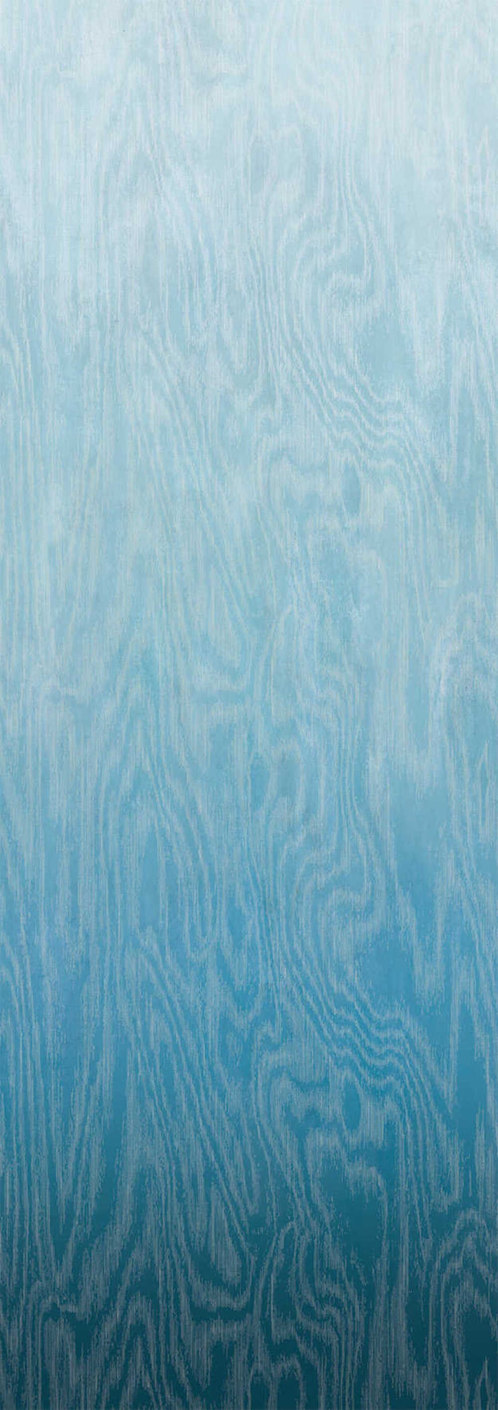 Masureel Wall Designs IV DG4MOI1032-300 Moire Blue