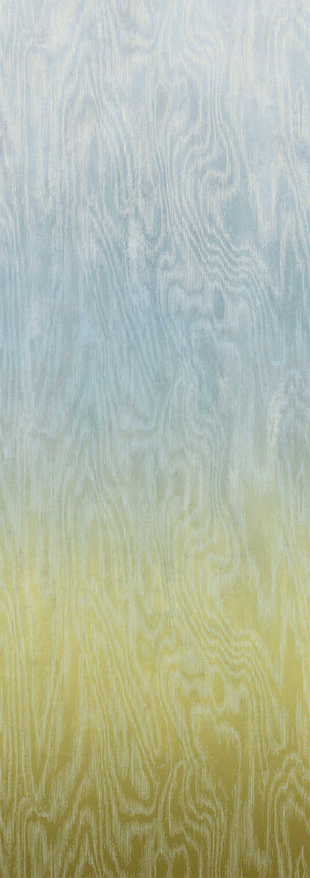Masureel Wall Designs IV DG4MOI1072-300 Moire Sea
